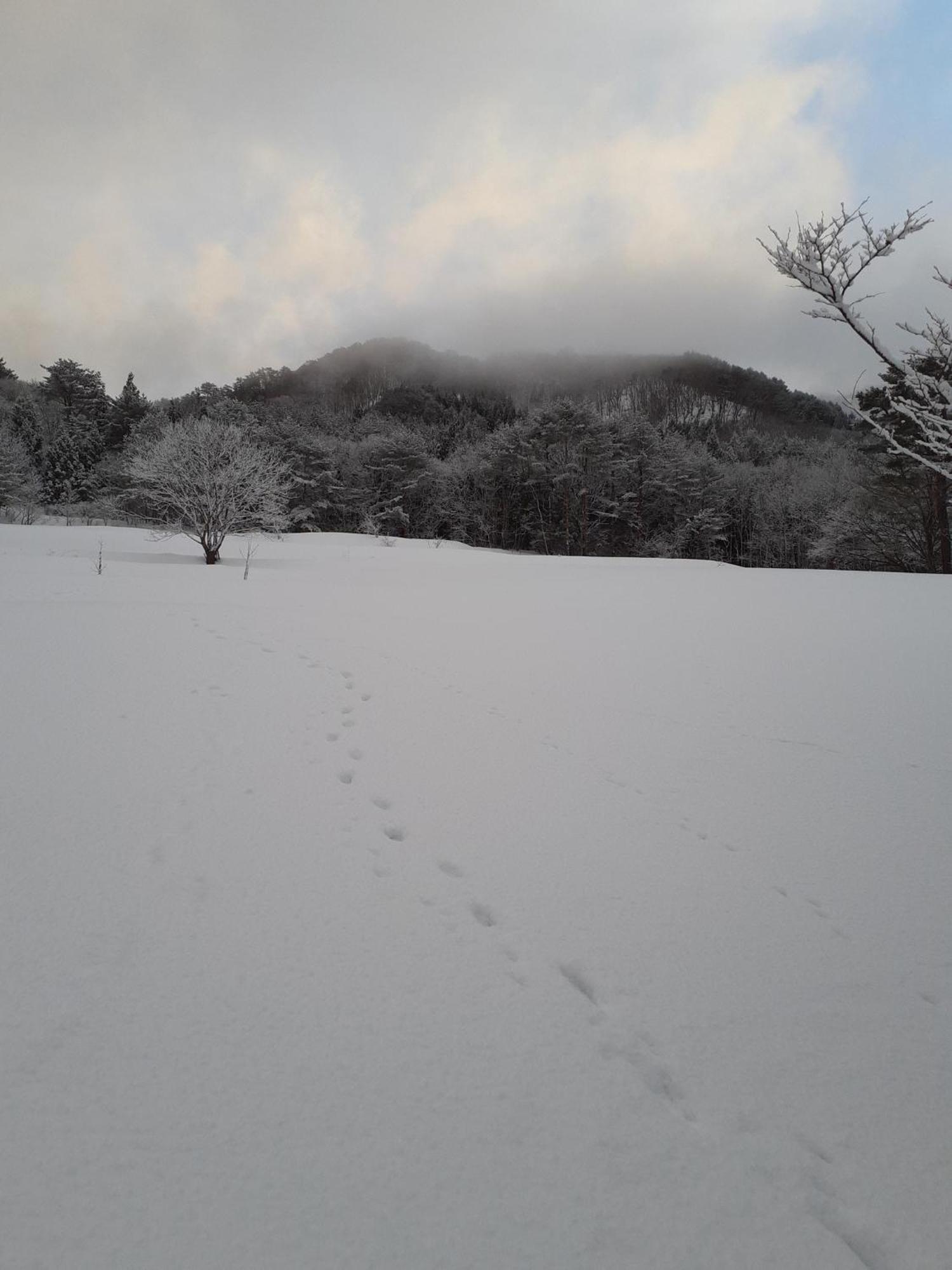 Tanehachi Farm Guesthouse - Vacation Stay 29709V Aomori Zewnętrze zdjęcie